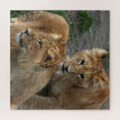 Puzzle Lion 011 par JAMFoto (Horizontal)
