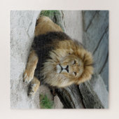 Puzzle Lion 012 par JAMFoto (Horizontal)