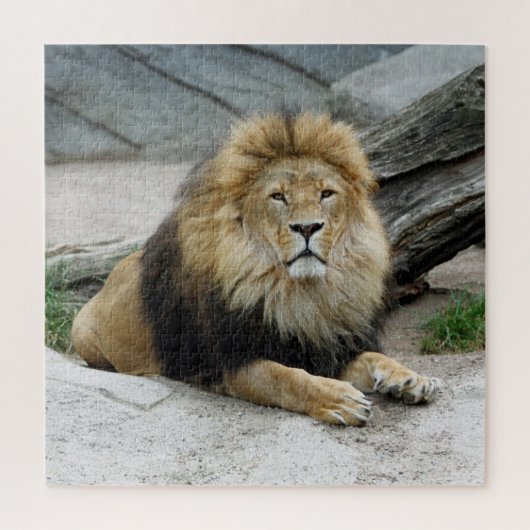 Puzzle Lion 012 par JAMFoto (Vertical)
