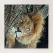 Puzzle Lion 013 by JAMFoto (Horizontal)