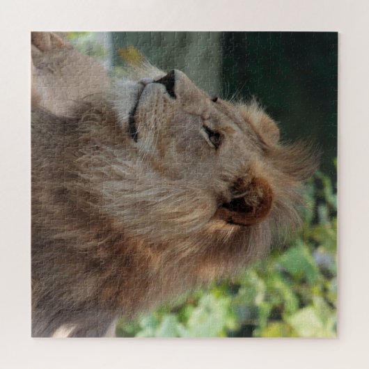Puzzle Lion 035 (Horizontal)