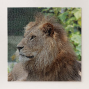 Puzzle Lion 035