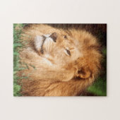 Puzzle Lion adult (Horizontal)