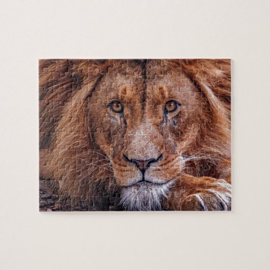 Puzzle Lion africain (Horizontal)