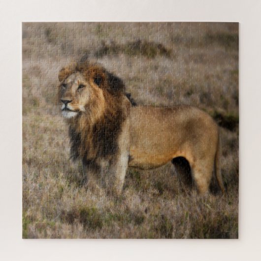 Puzzle Lion africain sauvage (Vertical)