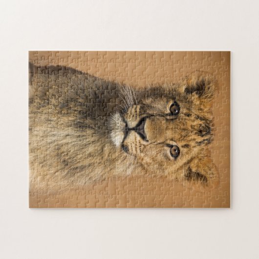 Puzzle Lion bébé (Horizontal)