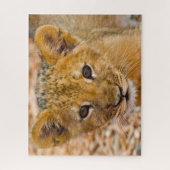 Puzzle Lion Cub Gros Chats. (Vertical)
