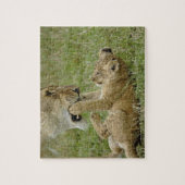 Puzzle Lion Cub Jouer (Vertical)