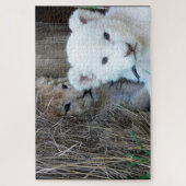 Puzzle Lion Cubs (Vertical)