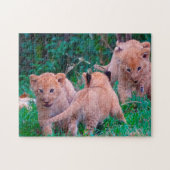 Puzzle Lion Cubs Gros Chats. (Horizontal)