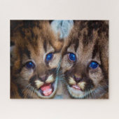 Puzzle Lion de Cougar Mountain. (Horizontal)