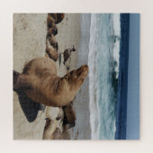 Puzzle Lion de mer Brown sur une plage (Horizontal)