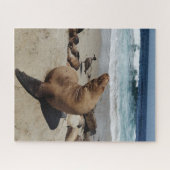 Puzzle Lion de mer Brown sur une plage (Horizontal)