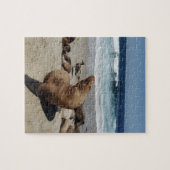 Puzzle Lion de mer Brown sur une plage (Horizontal)