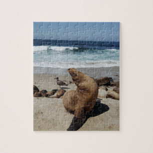Puzzle Lion de mer Brown sur une plage