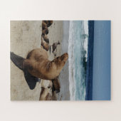 Puzzle Lion de mer Brown sur une plage (Horizontal)