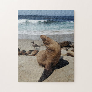 Puzzle Lion de mer Brown sur une plage
