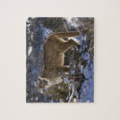 Puzzle Lion de montagne (Vertical)