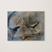Puzzle Lion endormie (Horizontal)