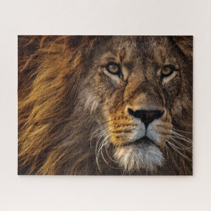 Puzzle Lion, Homme Adulte