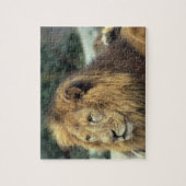 Puzzle Lion Majestic (Vertical)