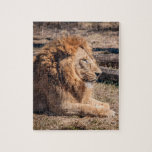 Puzzle Lion majestueux<br><div class="desc">Lion mâle majestueux</div>