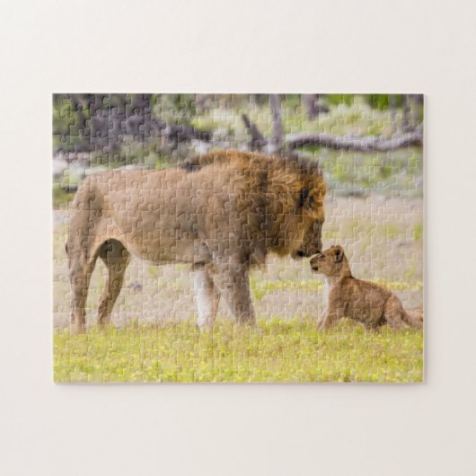 Puzzle Lion mâle Alpha inspecte le petit (Horizontal)