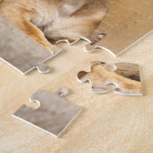 Puzzle Lion masculin et femelle dans l'amour (Côté)