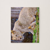 Puzzle Lion [Puzzle : 110 pièces] (Vertical)