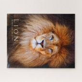 Puzzle Lion [Puzzle : 520P] (Horizontal)