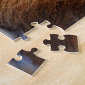 Puzzle Lion [Puzzle : 520P] (Côté)