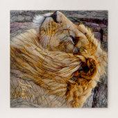 Puzzle Lion [Puzzle carré] (Horizontal)