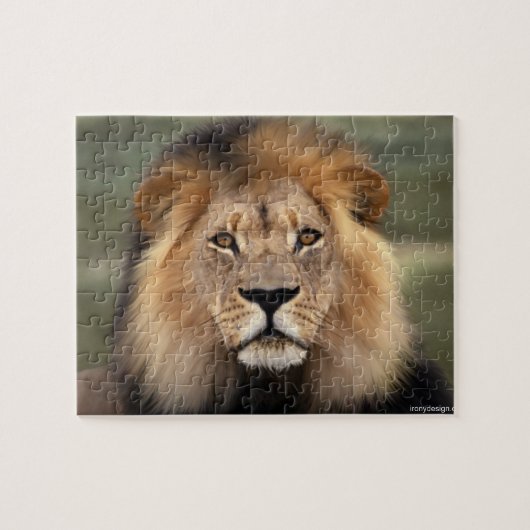 Puzzle Lion - roi de la jungle (Horizontal)