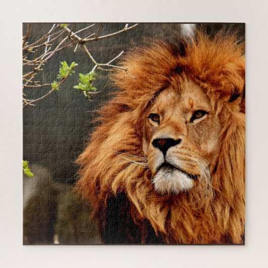 Puzzle Lion, Roi de la Jungle (Vertical)