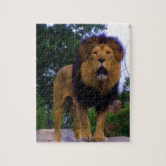Puzzle Lion sur un rocher (Vertical)