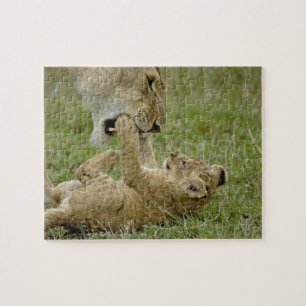 Puzzle Lionceau Jouant