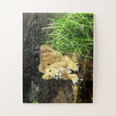 Puzzle Lioness (Vertical)