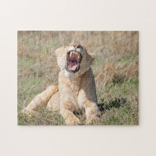 Puzzle Lioness (Horizontal)