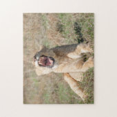 Puzzle Lioness (Vertical)