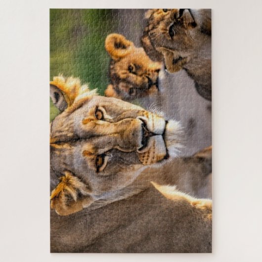 Puzzle Lioness Avec Cubes (Vertical)
