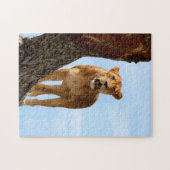 Puzzle Lionne (Horizontal)