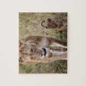 Puzzle Lionne avec son petit (Vertical)