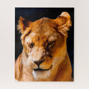 Puzzle Lionnes Grands Félins.