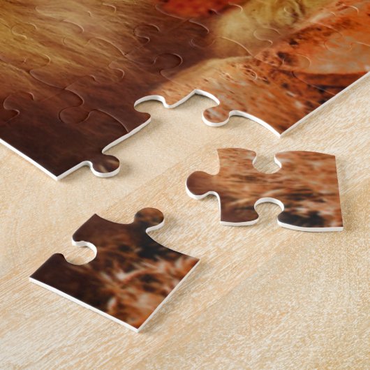 Puzzle Lions (Côté)