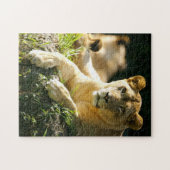Puzzle Lions (Horizontal)