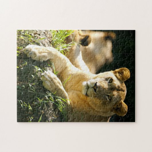 Puzzle Lions (Horizontal)