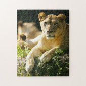 Puzzle Lions (Vertical)