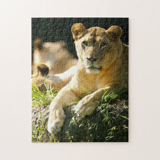 Puzzle Lions (Vertical)