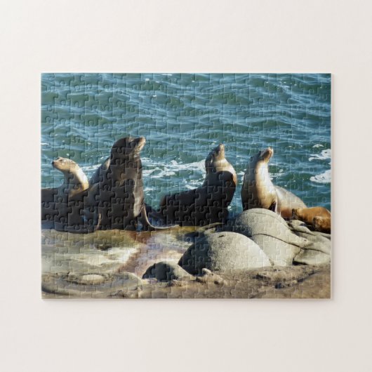 Puzzle Lions de la mer de San Diego (Horizontal)