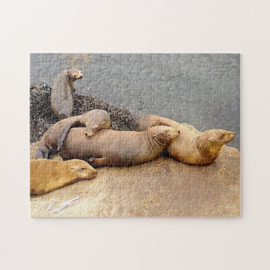 Puzzle Lions de la mer des bébés (Horizontal)